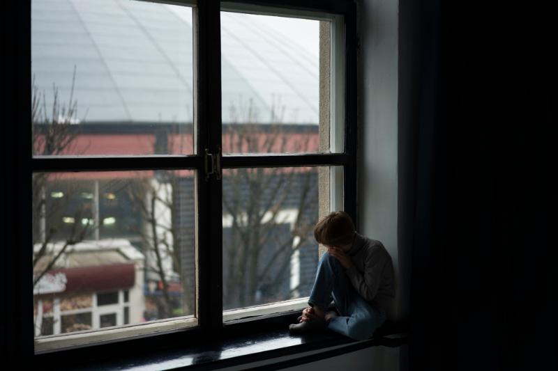 Sobre emoções e desenvolvimento